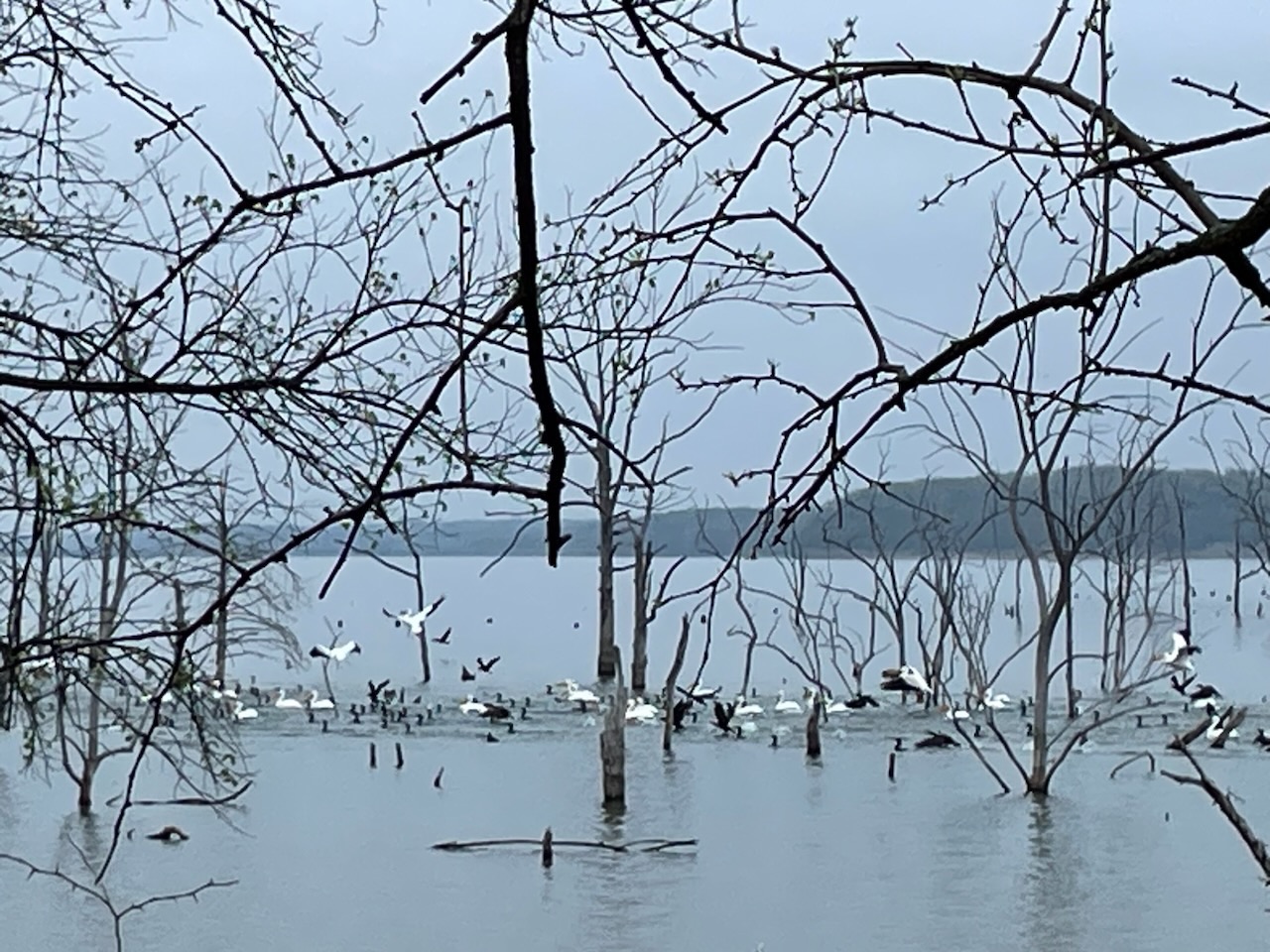 Hillsdale State Park RV Campground in Paola, KS